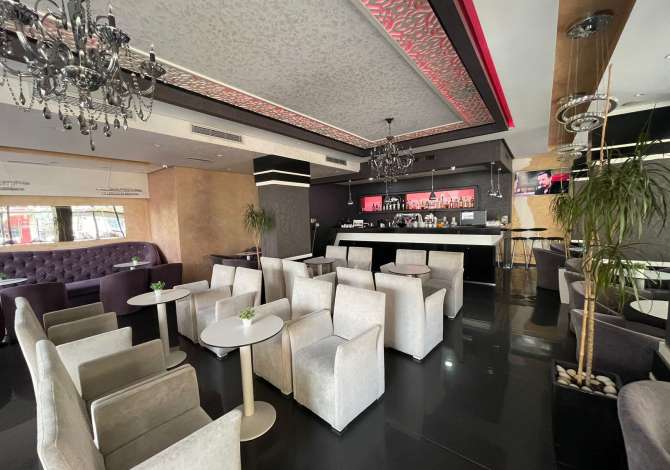 Ambient biznesi me qera 2+1 ne Tirane - 1,500 Euro