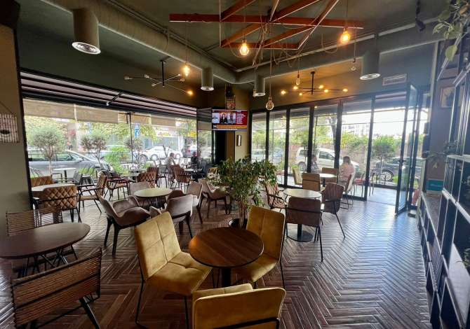 Ambient biznesi me qera 2+1 ne Tirane - 1,200 Euro