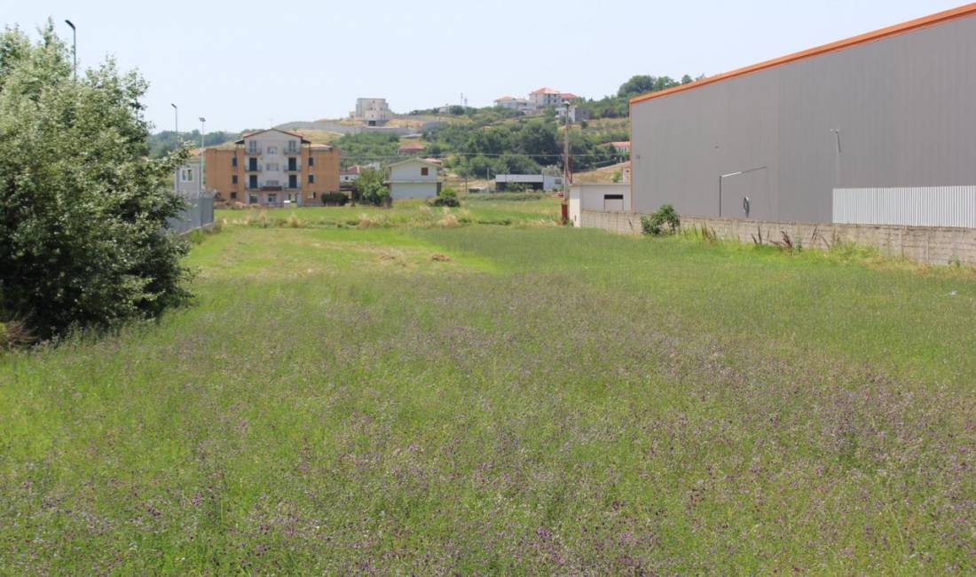 📣 SHITET, Toke📍 Autostrada Tirane-Durres .✨