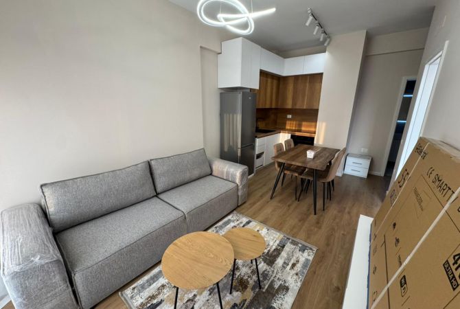Shtepi me qera Apartament ne Tirane, 1+1, Mobilimi E mobiluar, Pagesa 450  Euro.