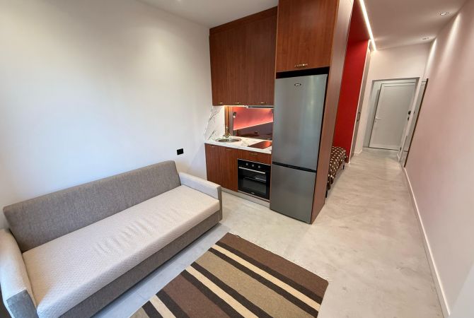 Shtepi ne shitje Apartament ne Tirane, Garsoniere, Mobilimi E mobiluar, Pagesa 220,000  Euro.