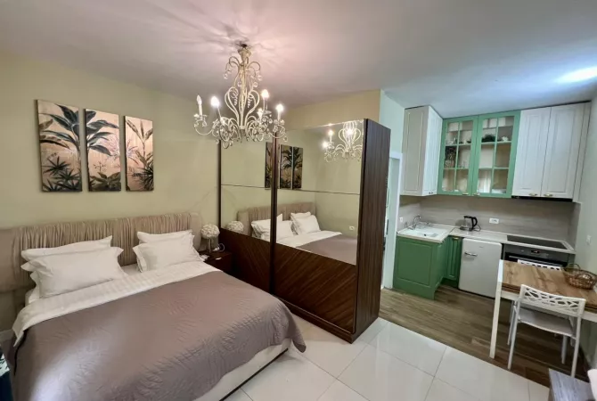 Shtepi ne shitje Apartament ne Tirane, 1+1, Mobilimi E mobiluar, Pagesa 800,000  Euro.