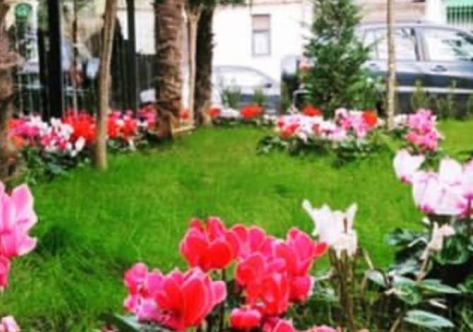 Offerte di lavoro a Tirana, Profession Banakiere , , Pagamento 35,000  Leke.