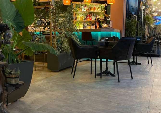 Offerte di lavoro a Tirana, Profession Kamaerier/e, Banakier/e , , Pagamento Trattabile.