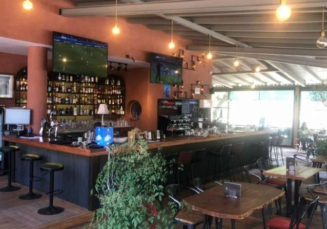 Offerte di lavoro a Tirana, Profession Kamarier, Banakier  , , Pagamento Trattabile.