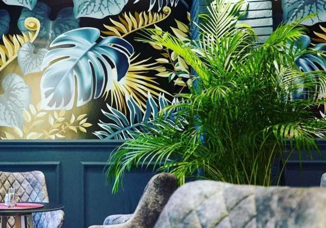 Offerte di lavoro a Tirana, Profession Kamarier/e , , Pagamento Trattabile.