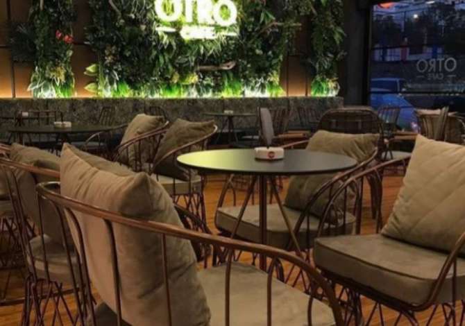 Offerte di lavoro a Tirana, Profession Kamarier/e, Banakier/e , , Pagamento Trattabile.