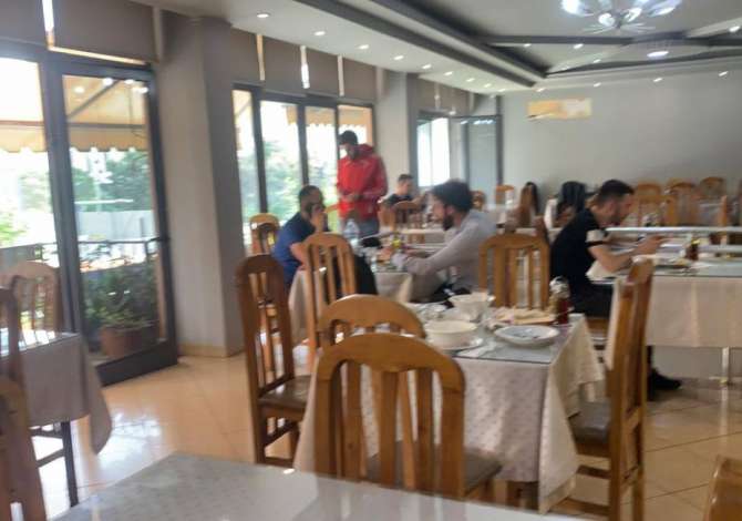 Offerte di lavoro a Tirana, Profession Ndihmes Kuzhiniere dhe Pjatalarese  , , Pagamento Trattabile.