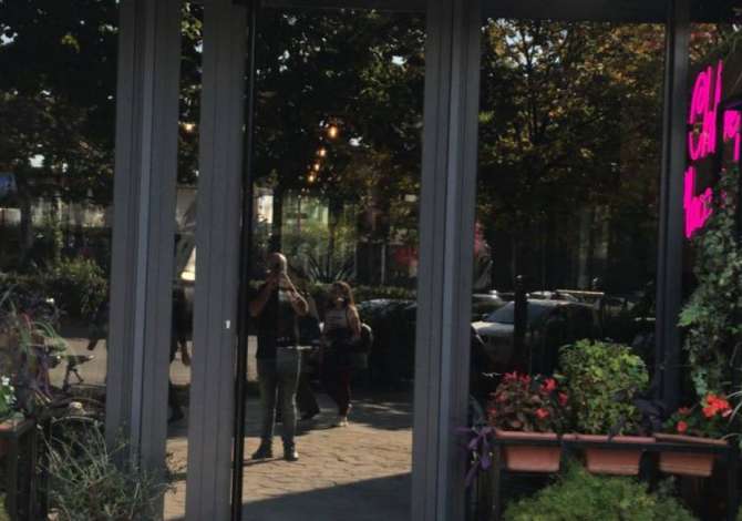 Offerte di lavoro a Tirana, Profession Banakier/e , , Pagamento Trattabile.