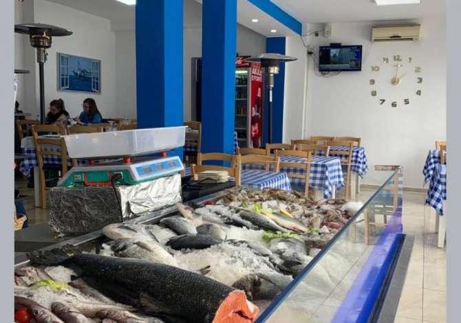 Offerte di lavoro a Tirana, Profession Motorrist  , , Pagamento Trattabile.