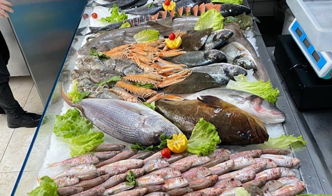 Offerte di lavoro a Tirana, Profession Kamarier/e, Ndihmes Kamarier/e, Pjatalarese, Pastruese Peshku, Motorrist , , Pagamento Trattabile.