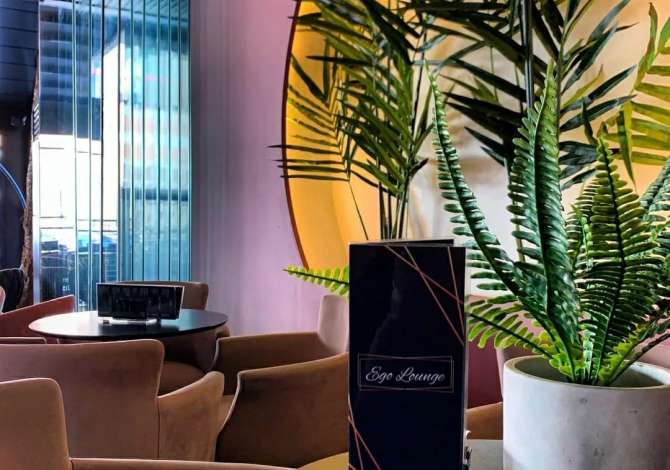 Offerte di lavoro a Tirana, Profession Kamariere , , Pagamento 30,000  Leke.