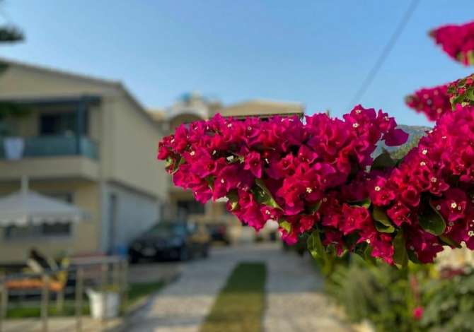 Njoftime Pune per Sanitare ne Himare