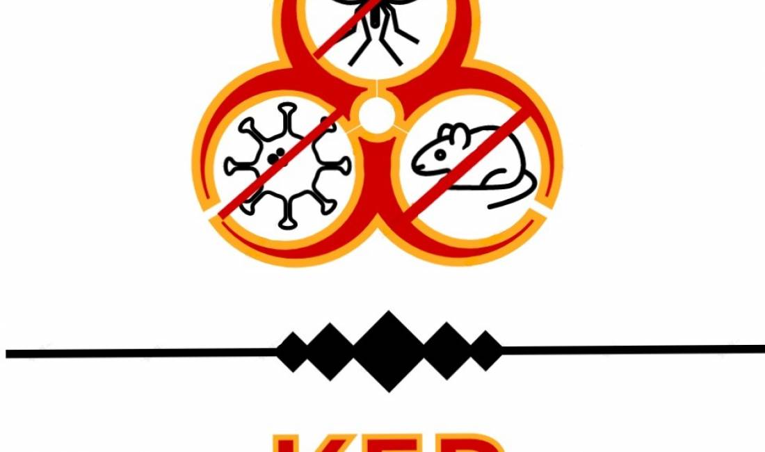 Dizenjim logosh originale