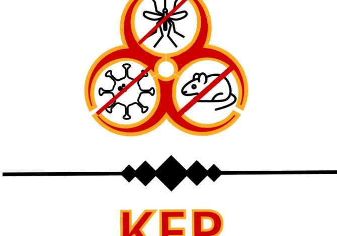 IT and Marketing Services in Tirana - 3,000 Leke