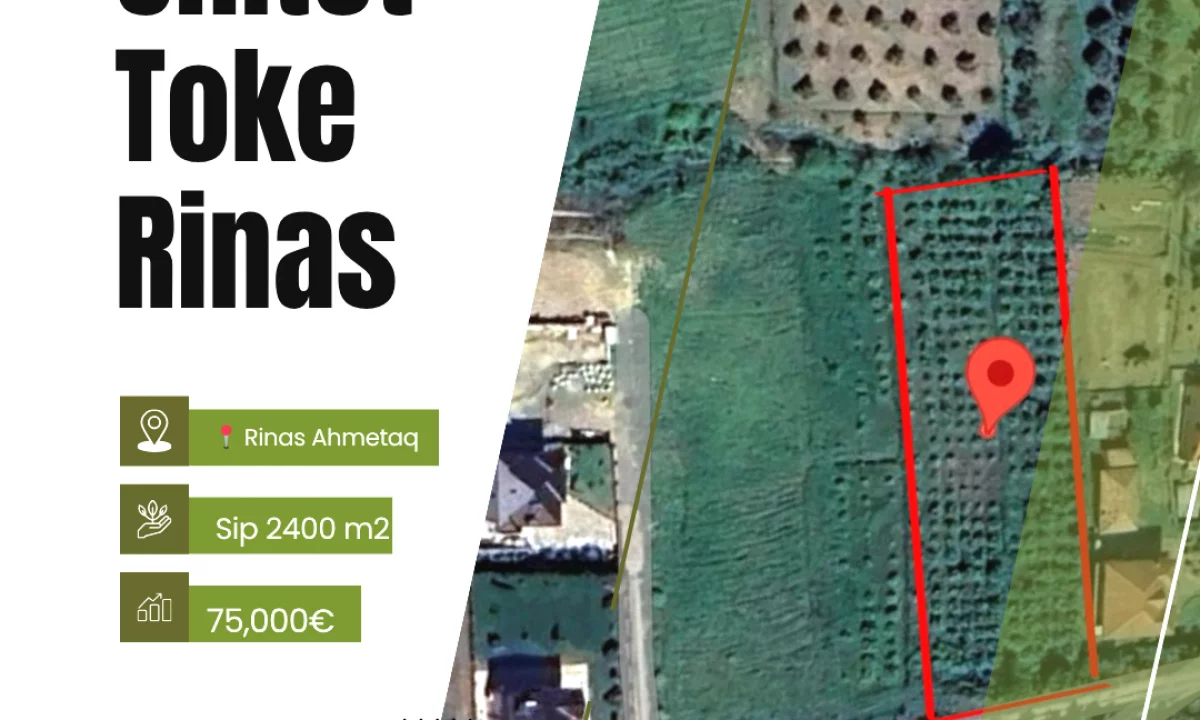 Shitet Toke 📍 Rinas 