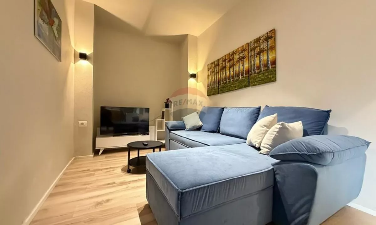 Shtepi me qera Apartament ne Tirane, 1+1, Mobilimi E mobiluar, Pagesa 500  Euro.