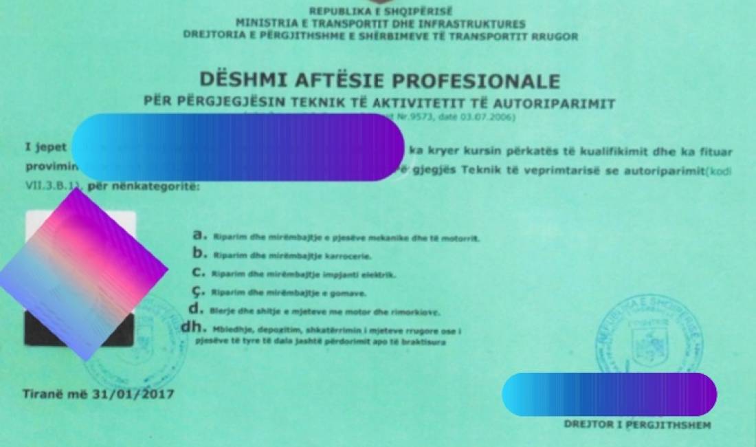 DESHMI AFTESIE PROFESIONALE