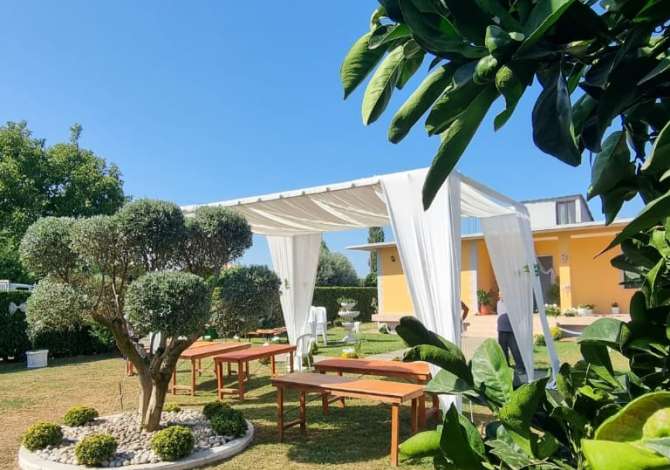 Sherbime Profesionale ne Lezhe - 20 Leke