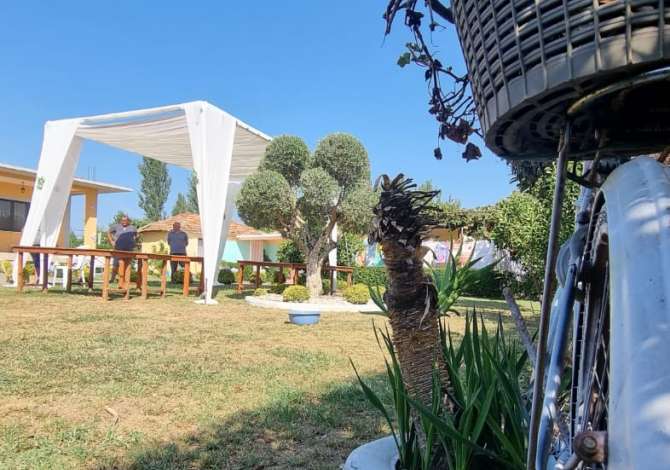 Sherbime Profesionale ne Lezhe - 20 Leke