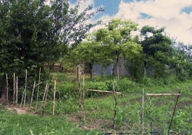 Truall ose Toke ne Lushnje - 2,000 Dollar