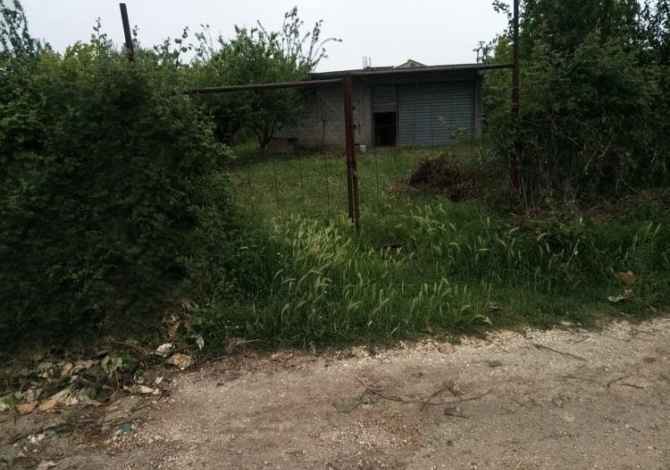 Truall ose Toke ne Lushnje - 2,000 Dollar