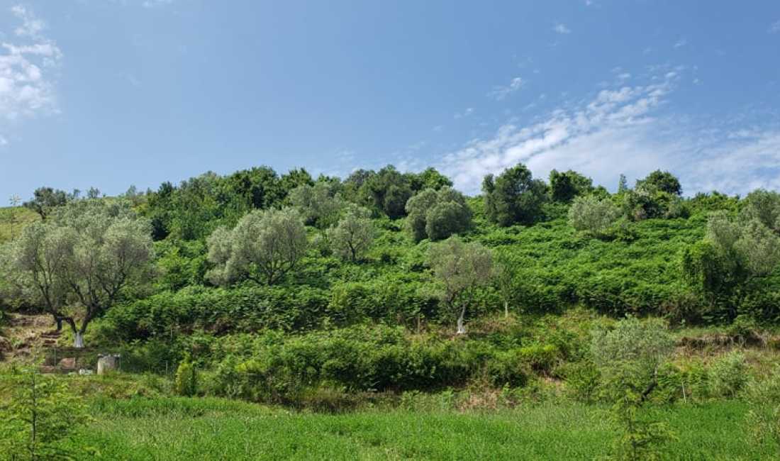 Shitet Toke dhe ndertese ne Spitalle (Prane nje rezervuari) Durres