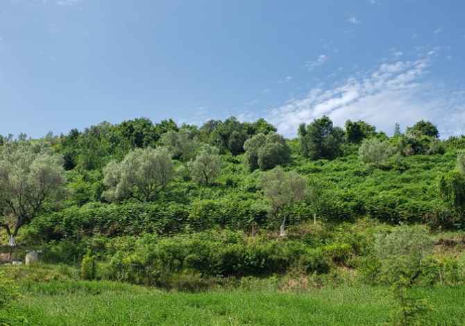 Shitet Toke dhe ndertese ne Spitalle (Prane nje rezervuari) Durres