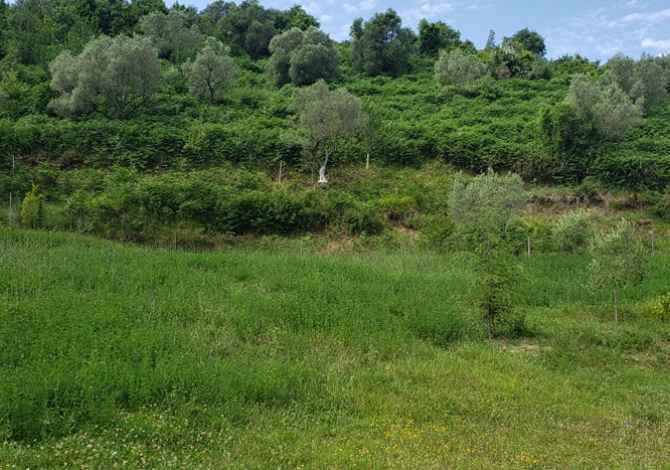 Shitet Toke dhe ndertese ne Spitalle (Prane nje rezervuari) Durres