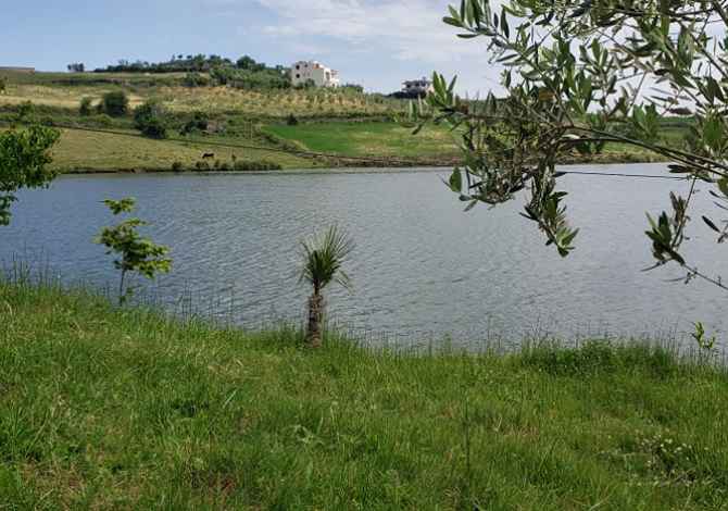 Shitet Toke dhe ndertese ne Spitalle (Prane nje rezervuari) Durres