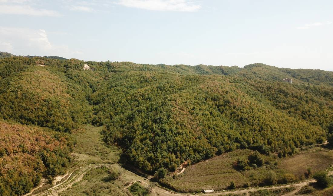 Shitet Toke Pyll Ne Fshatin Rrotull, Gjiri Lalzit