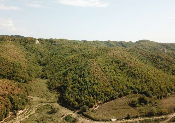 Truall ose Toke ne Durres - 200,000 Euro