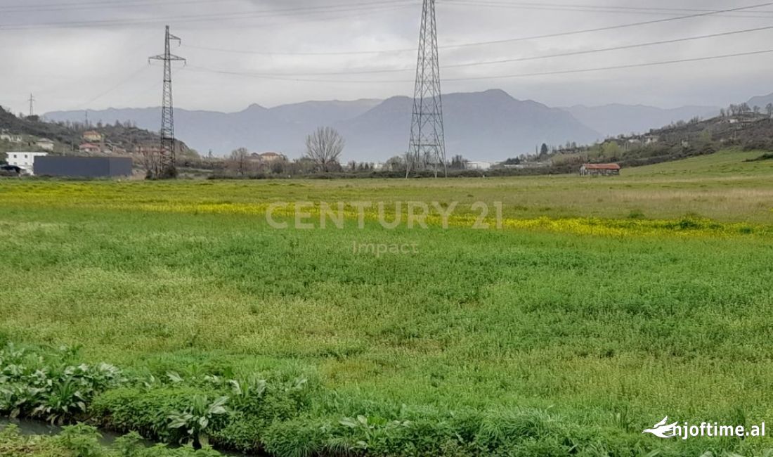 SHITET TOKE NE YZBERISHT!