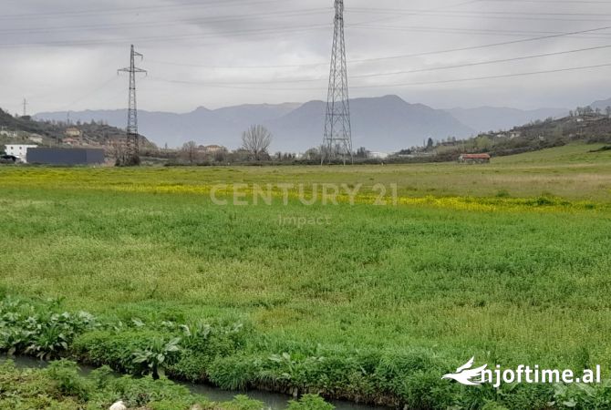 SHITET TOKE NE YZBERISHT!