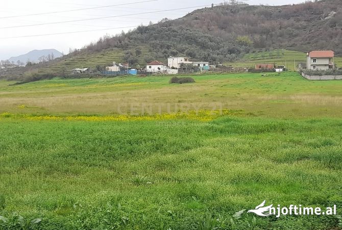 SHITET TOKE NE YZBERISHT!