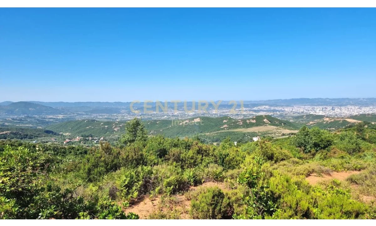 Toke Per Shitje ne Dajt, Tirane - 710,400Euro!