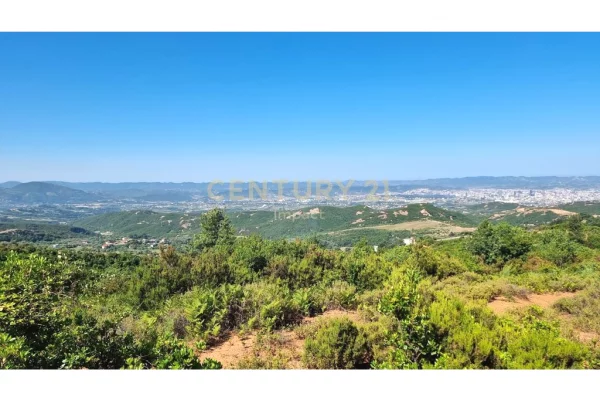 Land for Sale in Tirana - 710,400 Euro