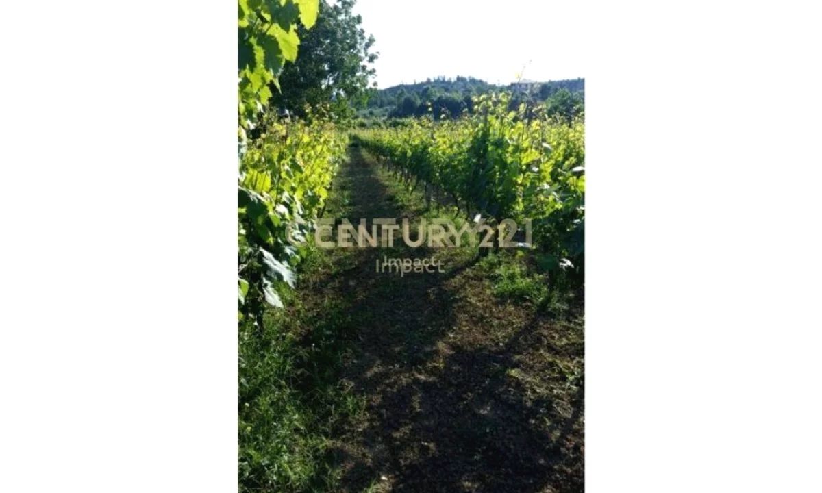 TOKE PER SHITJE NE BALDUSHK( Tirane) - 103,000Euro | 2300 m2