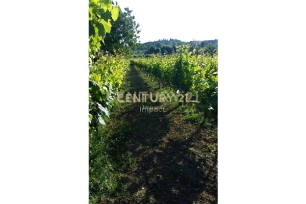 TOKE PER SHITJE NE BALDUSHK( Tiranë) - 103,000€ | 2300 m²