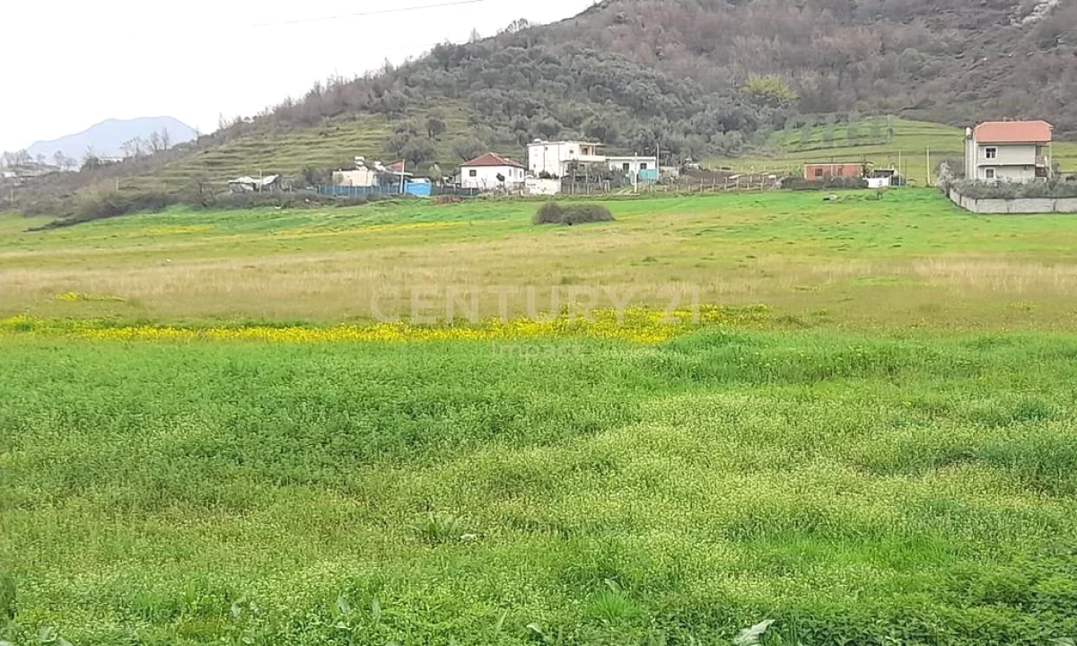 SHITET TOKE NE YZBERISHT!