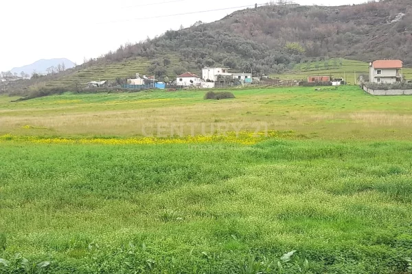 Truall ose Toke ne Tirane - 2,010,000 Euro