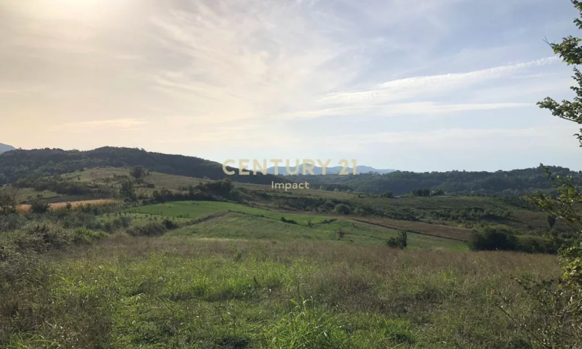 SHESIM TOKE PRANE EQUOS RESORT. 30 EURO/M2