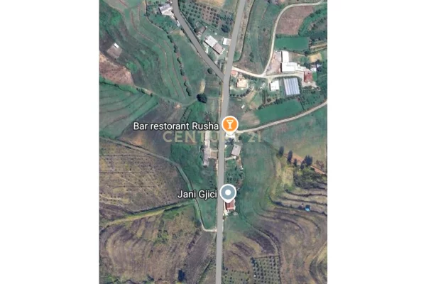 okë per shitje në Tapize, Tirana - 62400€