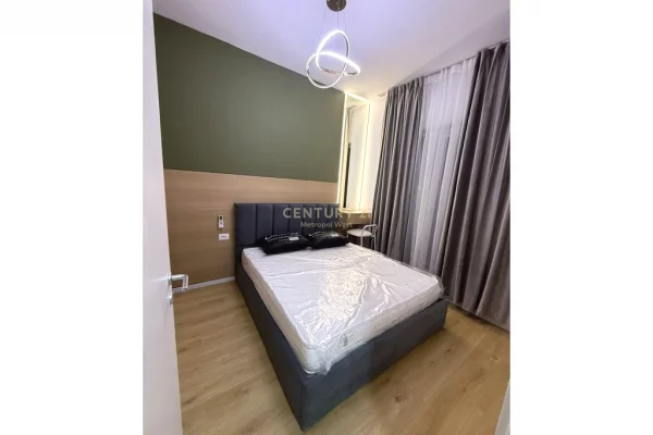 Shtepi me qera Apartament ne Tirane, 1+1, Mobilimi Pjeserisht e mobiluar, Pagesa 500  Euro.