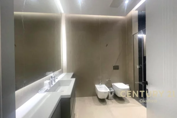 Shtepi me qera Apartament ne Tirane, 1+1, Mobilimi E mobiluar, Pagesa 90  Euro.