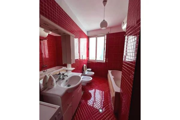 Shtepi me qera Apartament ne Tirane, 1+1, Mobilimi Pjeserisht e mobiluar, Pagesa 600  Euro.
