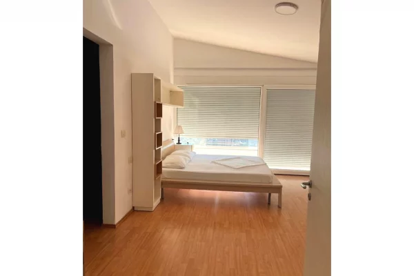 Shtepi ne shitje Vila Luksoze ne Tirane, 5+1, Mobilimi Pjeserisht e mobiluar, Pagesa 1,100,000  Euro.