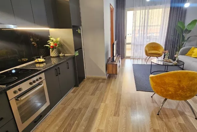 Shtepi me qera Apartament ne Tirane, 1+1, Mobilimi E mobiluar, Pagesa 700  Euro.
