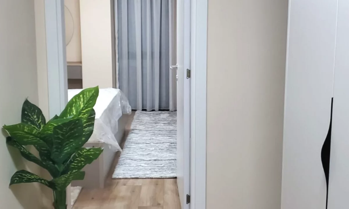 Shtepi me qera Apartament ne Tirane, 1+1, Mobilimi Bosh, pa mobiluar, Pagesa 1,000  Euro.