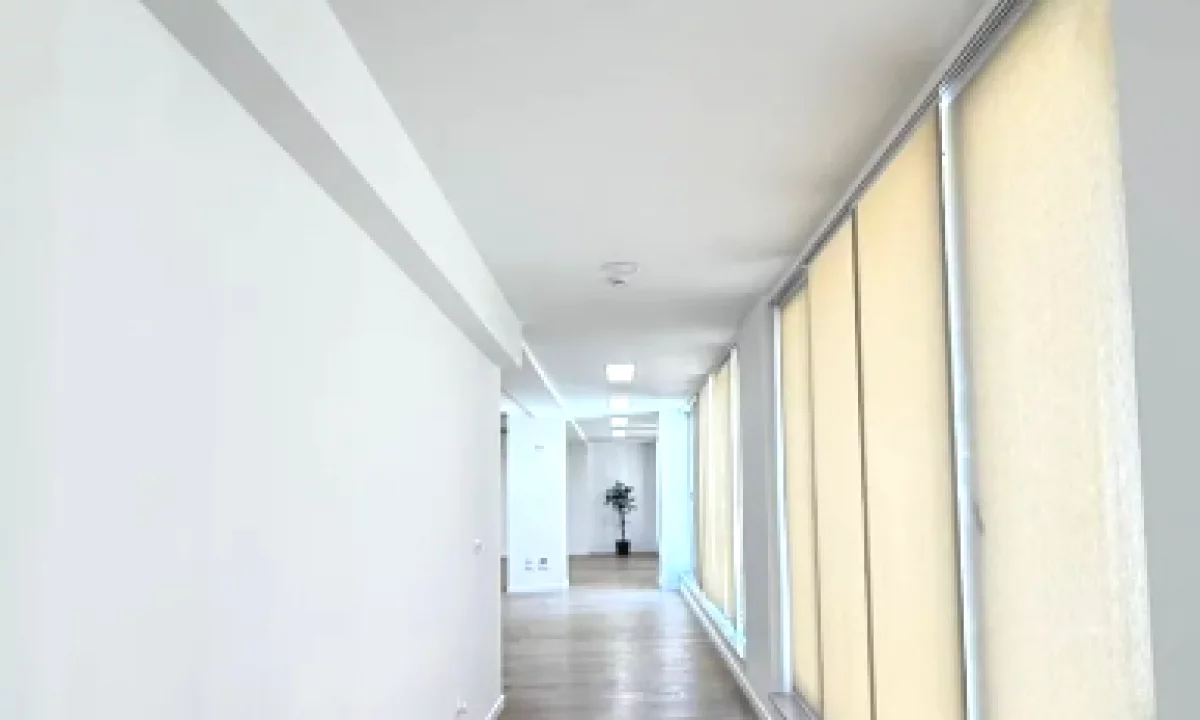 Ofrohen per qira ambiente zyrash ne zonen e Delijorgjit.